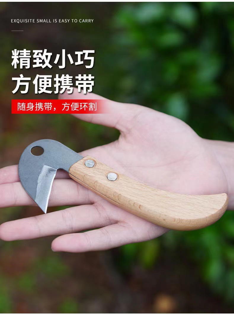 详情9.jpg