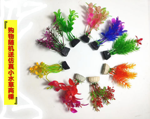 affede67-13d5-455b-90b1-b24ab5ddcc8e.jpe