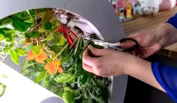 5bc71d18-1aca-4978-bfe2-7fc1a3