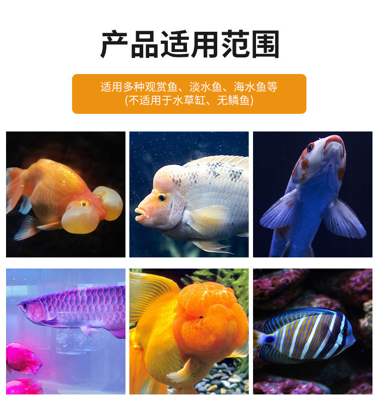 6d780b98-e72e-4993-ab14-7604233b339f.jpe