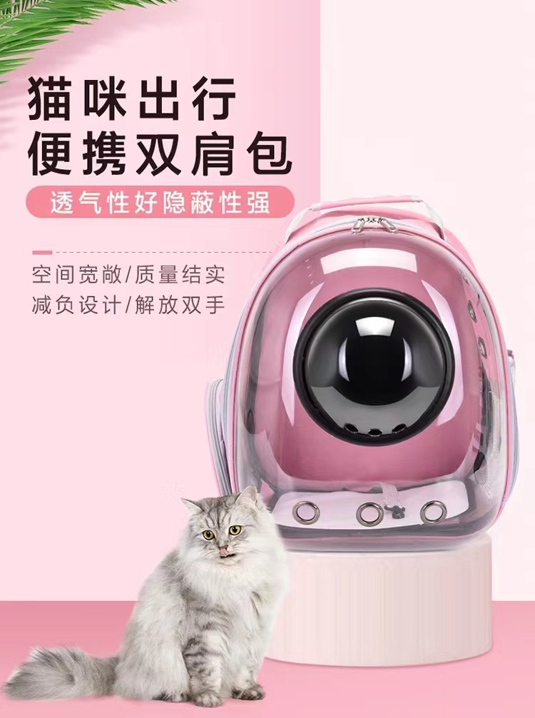 da632bc6-c026-4436-a12e-3a3fd1cc65fe.jpe