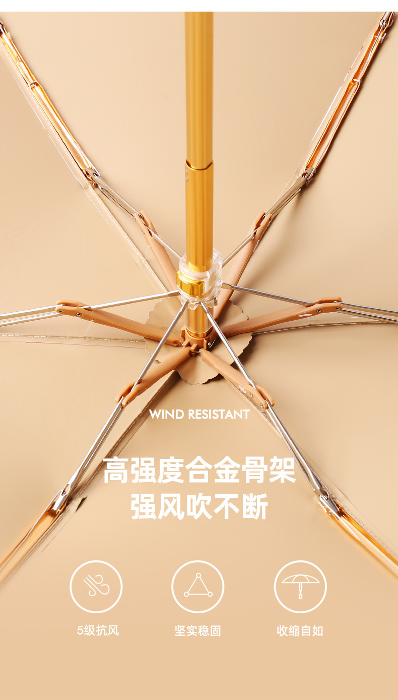 贵妇包伞_05