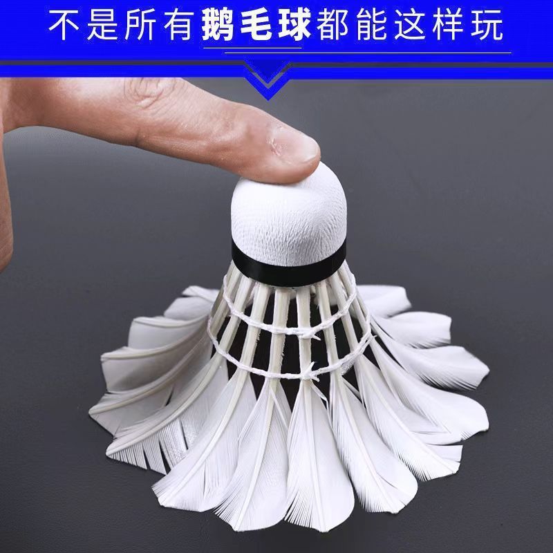 d0eda137-c6ba-490a-9acd-60e64db9caac.jpe