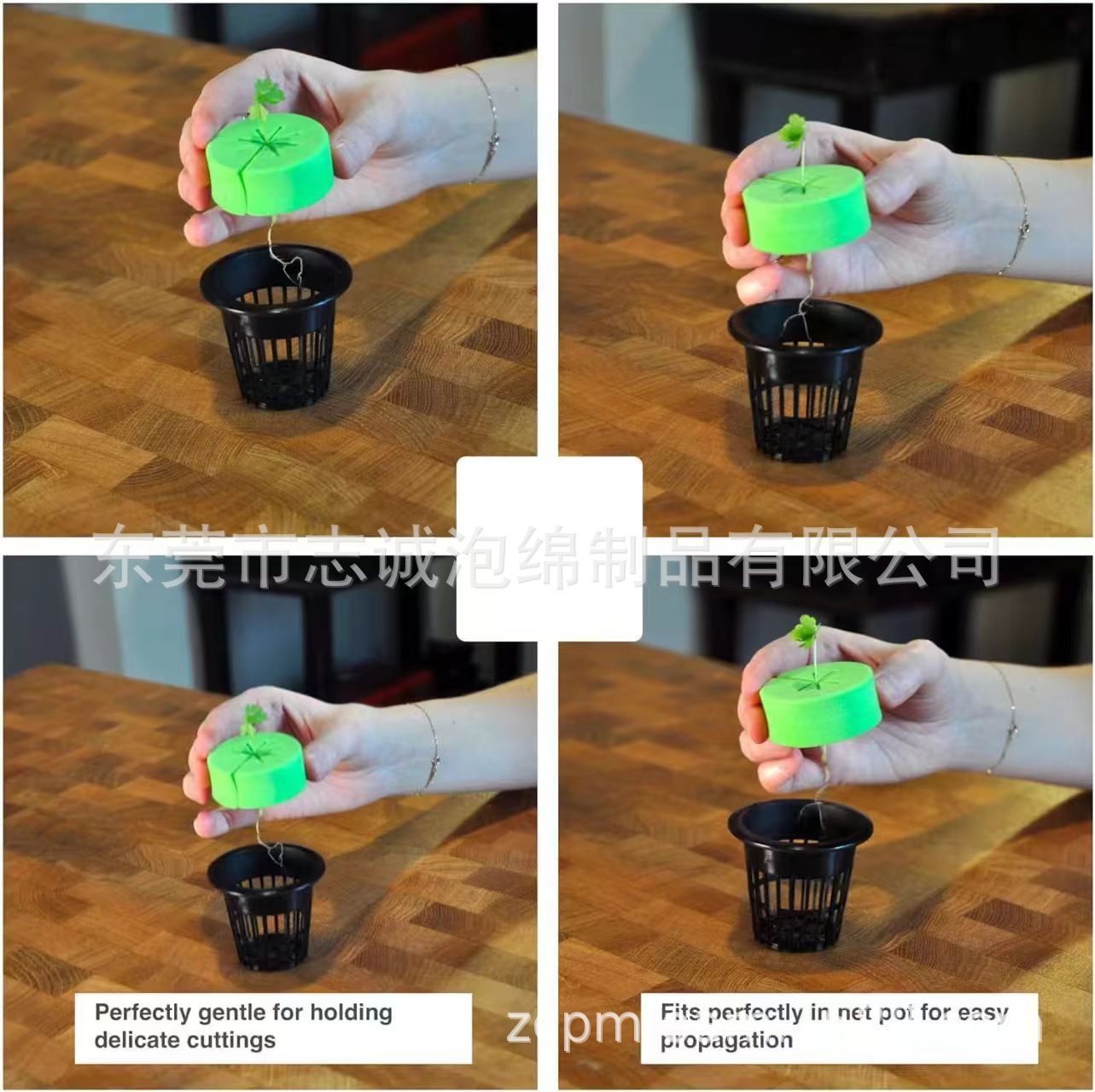 2c6a066838a4c69b8c3dda4eecd81d