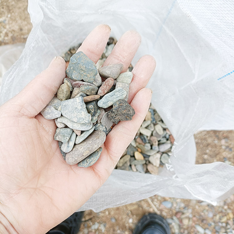 .trashed-1678717036-IMG2023021