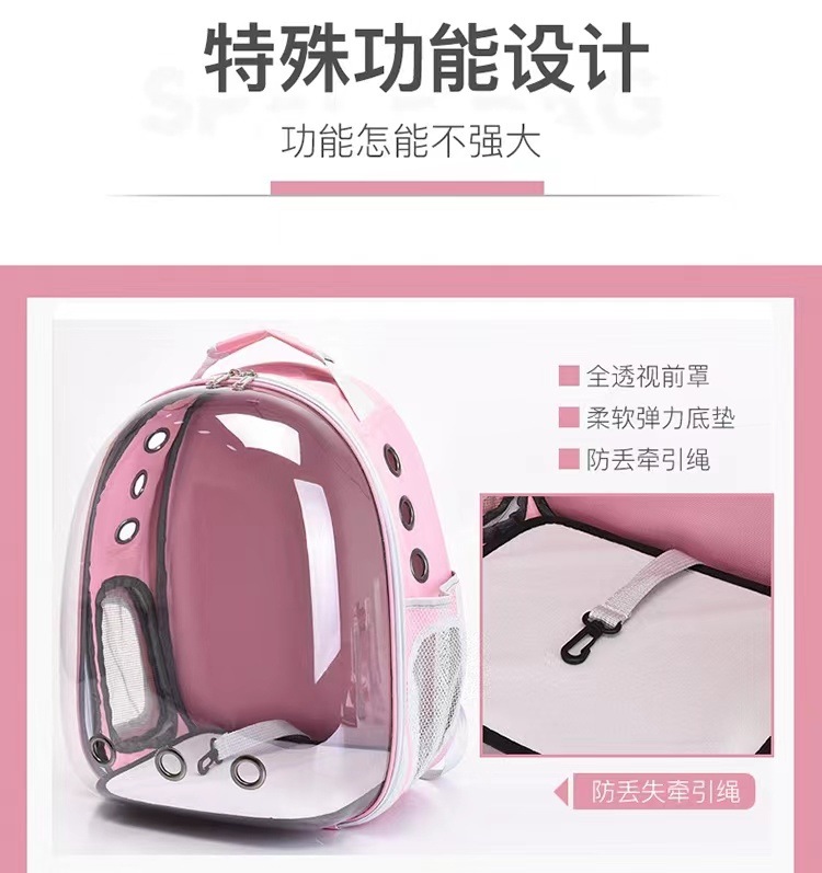 abbe88be-a64e-432d-ae61-8424208e3b94.jpe