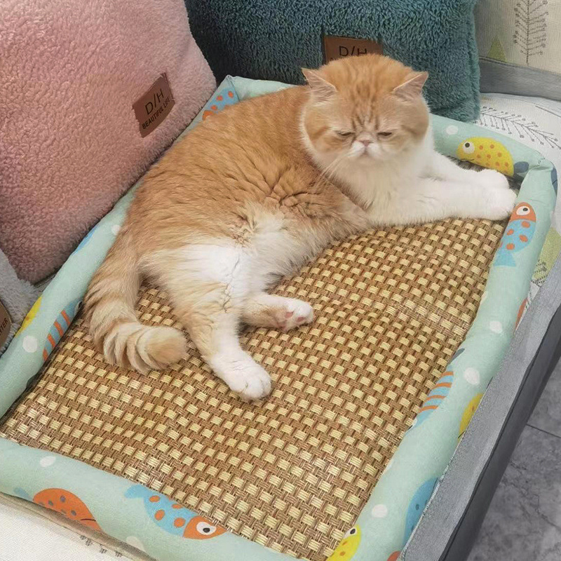 a19fdd8a-6b69-4c1f-ba15-68e466652f9a.jpe