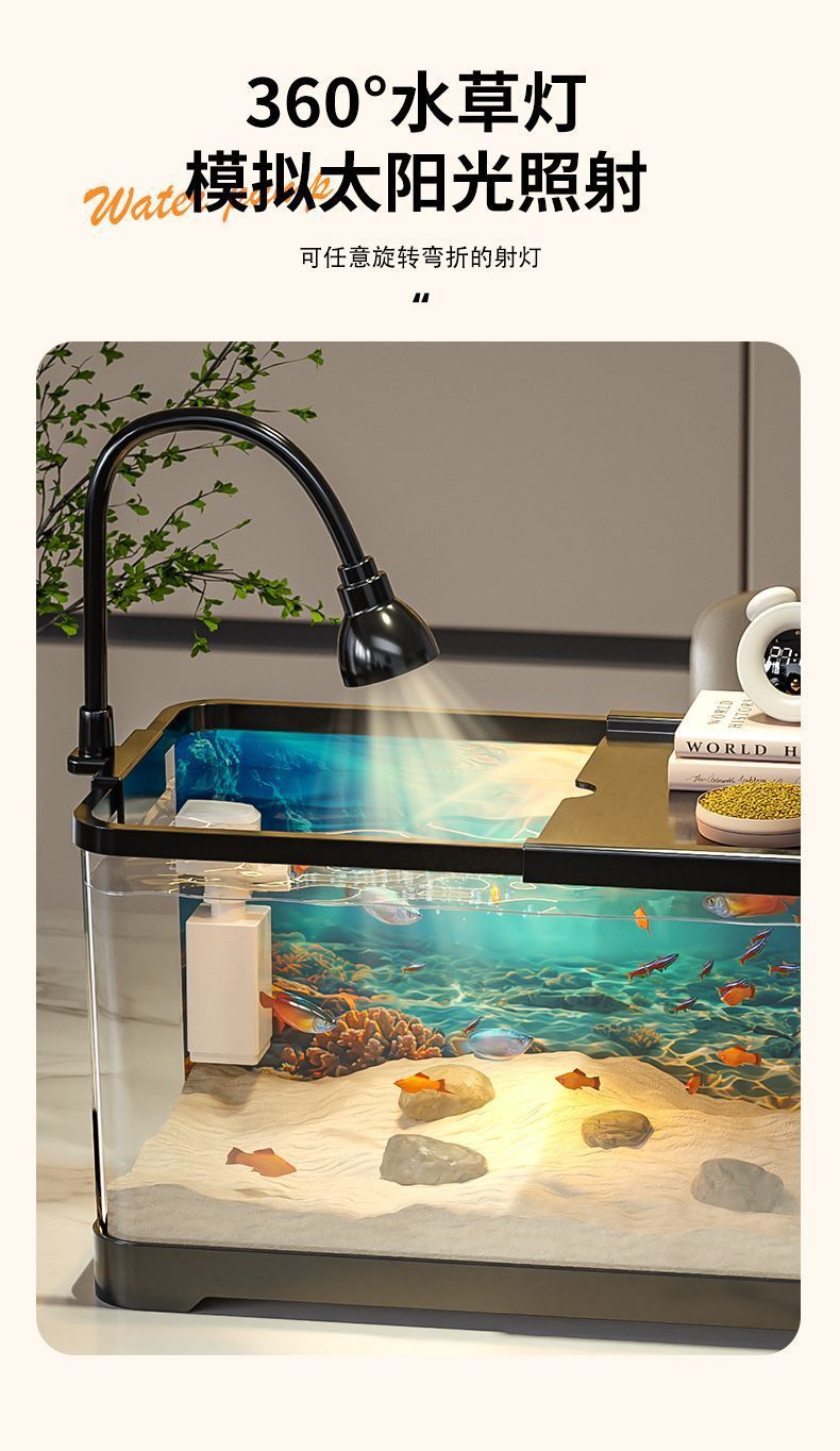 8e81454a-e40e-4e67-a0f2-d5803d88395c.jpe