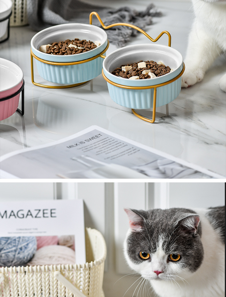 猫碗_15.jpg