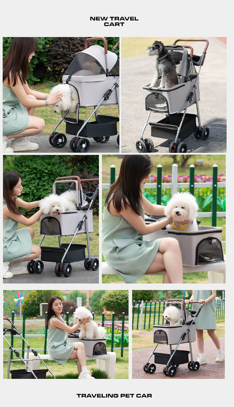 dd635e01-9488-42f5-87e9-f184333911bf.jpe