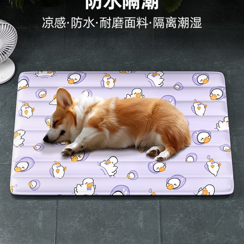 O1CN01UgKnog1aZ97XvfO6X_!!2220290523343-