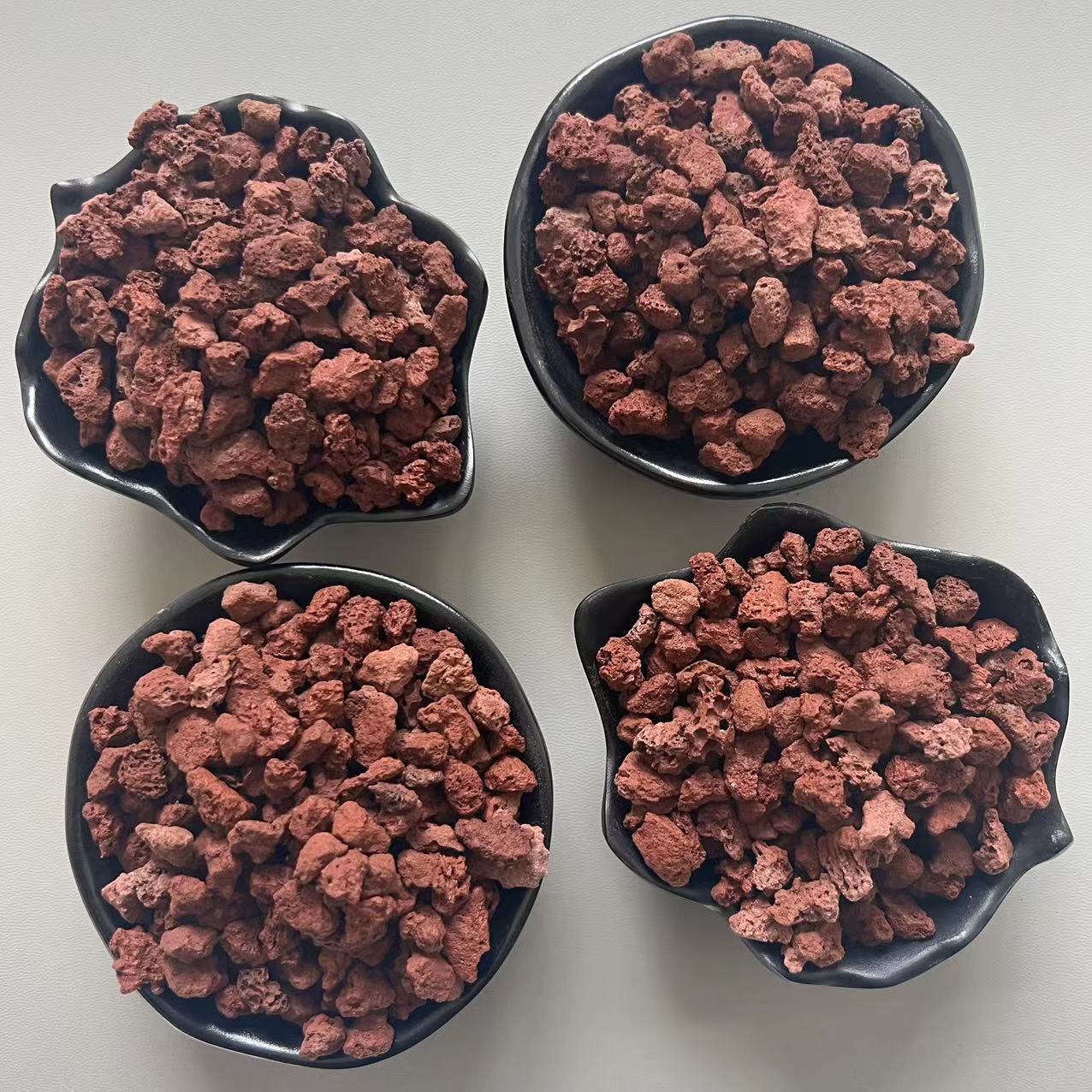 微信图片_202310250944491