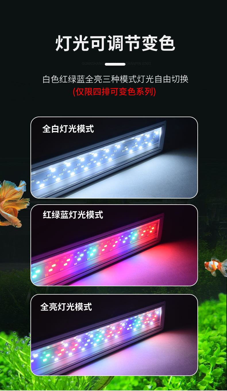 8eaccbad-716b-4a22-97f3-999bd1232735.jpe