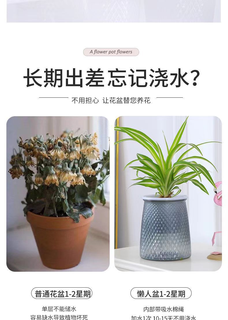 微信图片_20240113192753