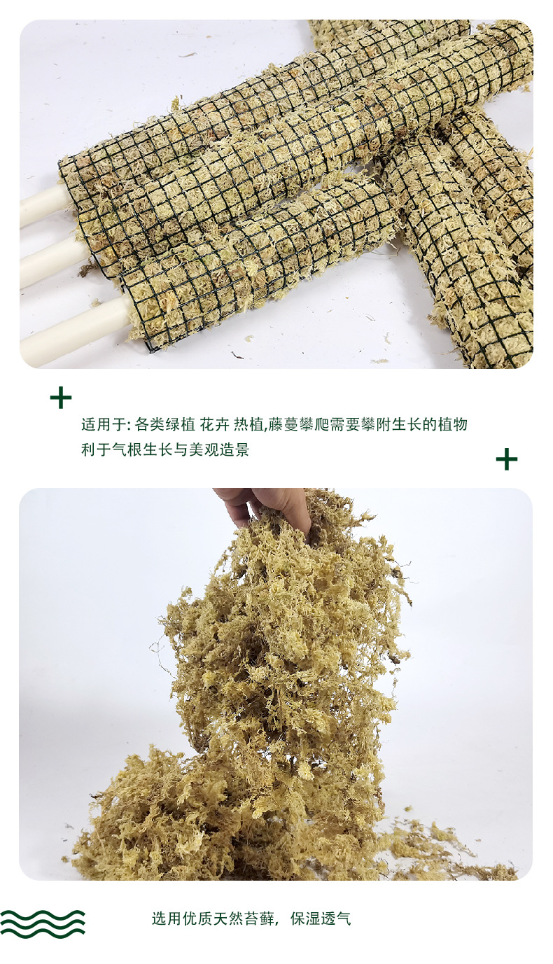 中文水苔详情图_03.jpg