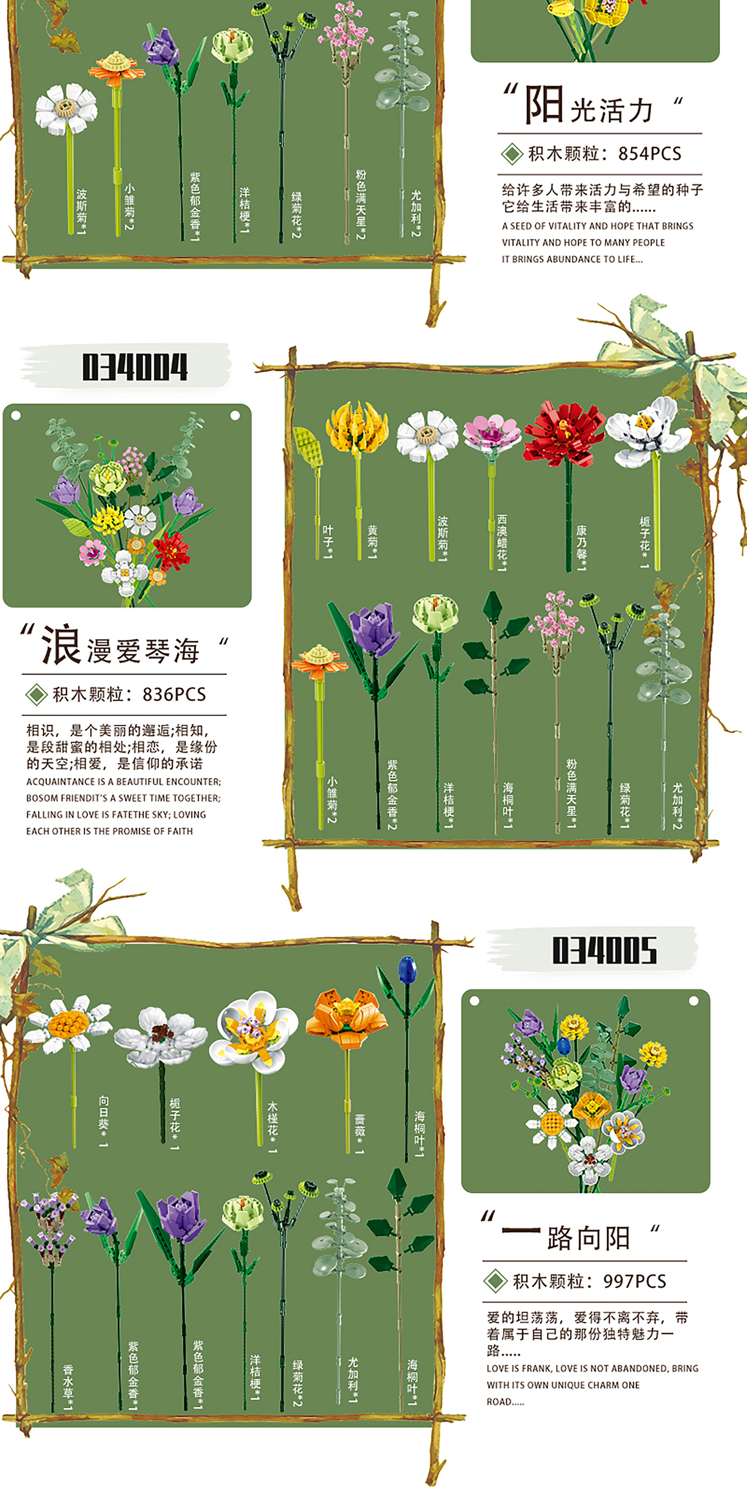 034003阳光活力_10