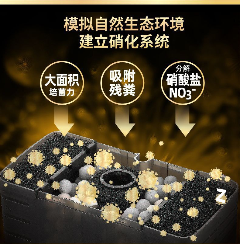 15d349d8-fe46-481a-b487-d6176625b87b.jpe