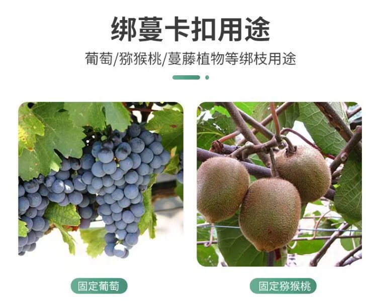 D5E6EBBA92128D69D19E04B8567C4A