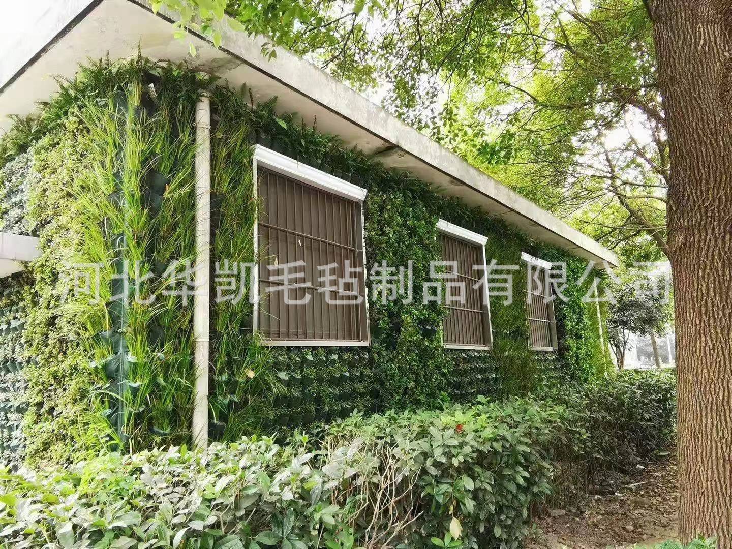 6376d93dfc07c7a0ee23c467e52efe