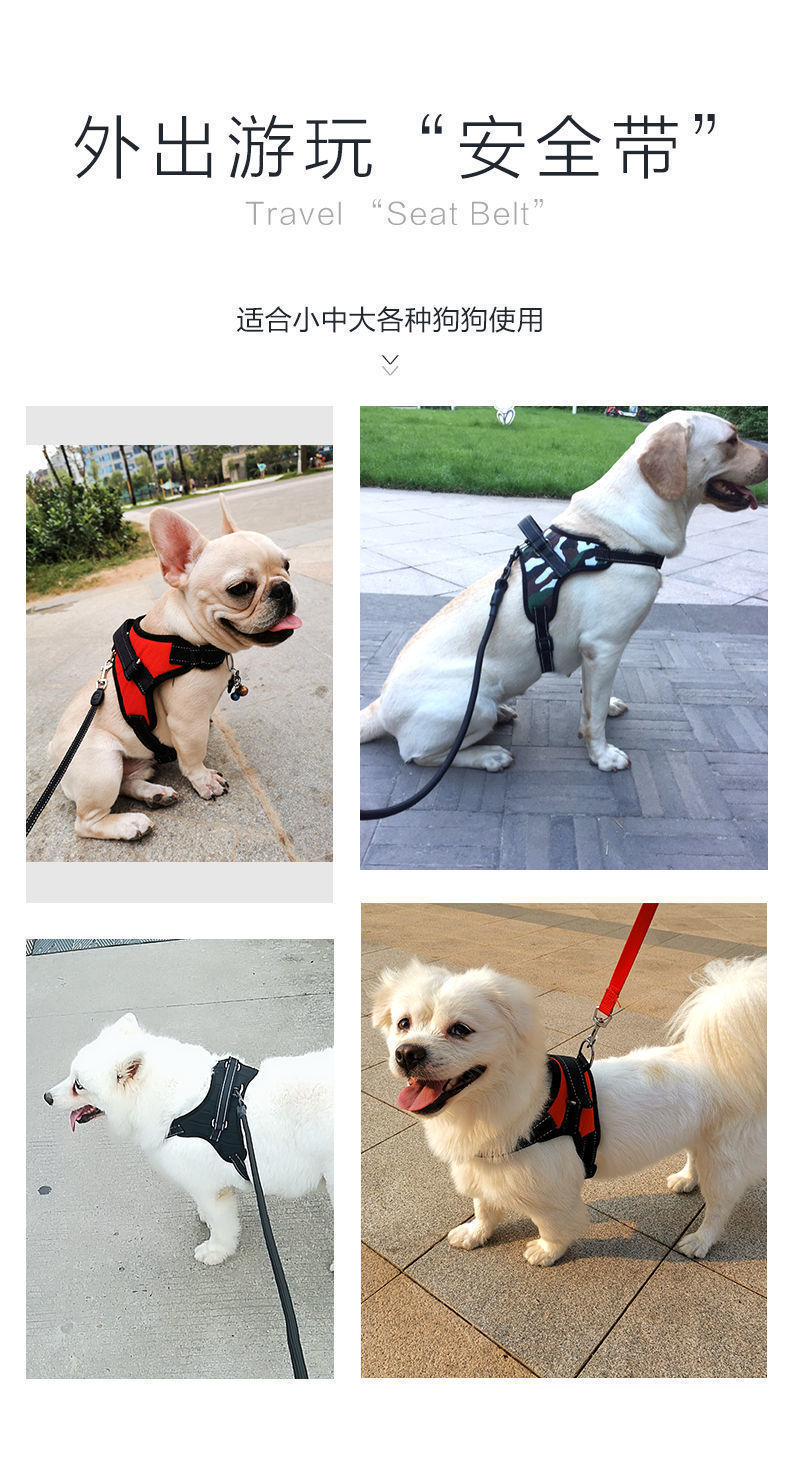 e3494d3f-bd35-497a-b8a5-565ae1ee1ee1.jpe