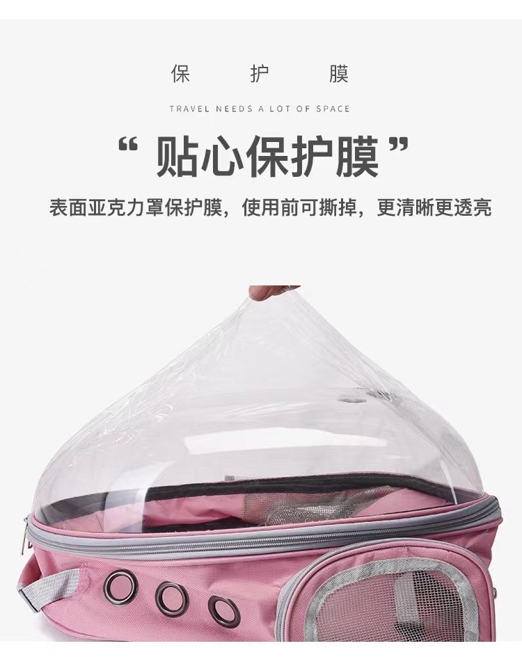 73ca0f56-893b-40a0-a46c-743e11d93a11.jpe