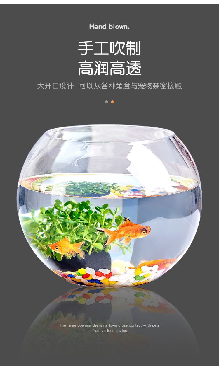 c5cdb1bf-4293-4302-bd67-308042ba9646.jpe