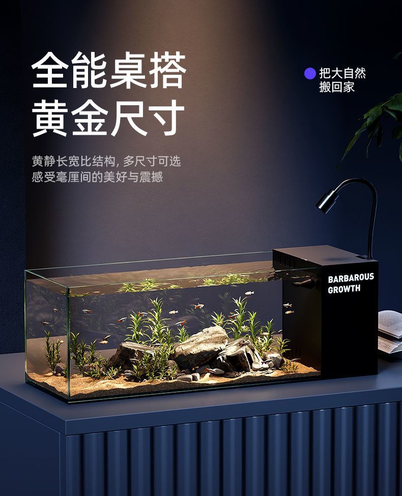 2c67022d-b48f-42f4-be43-e42b1253348a.jpe