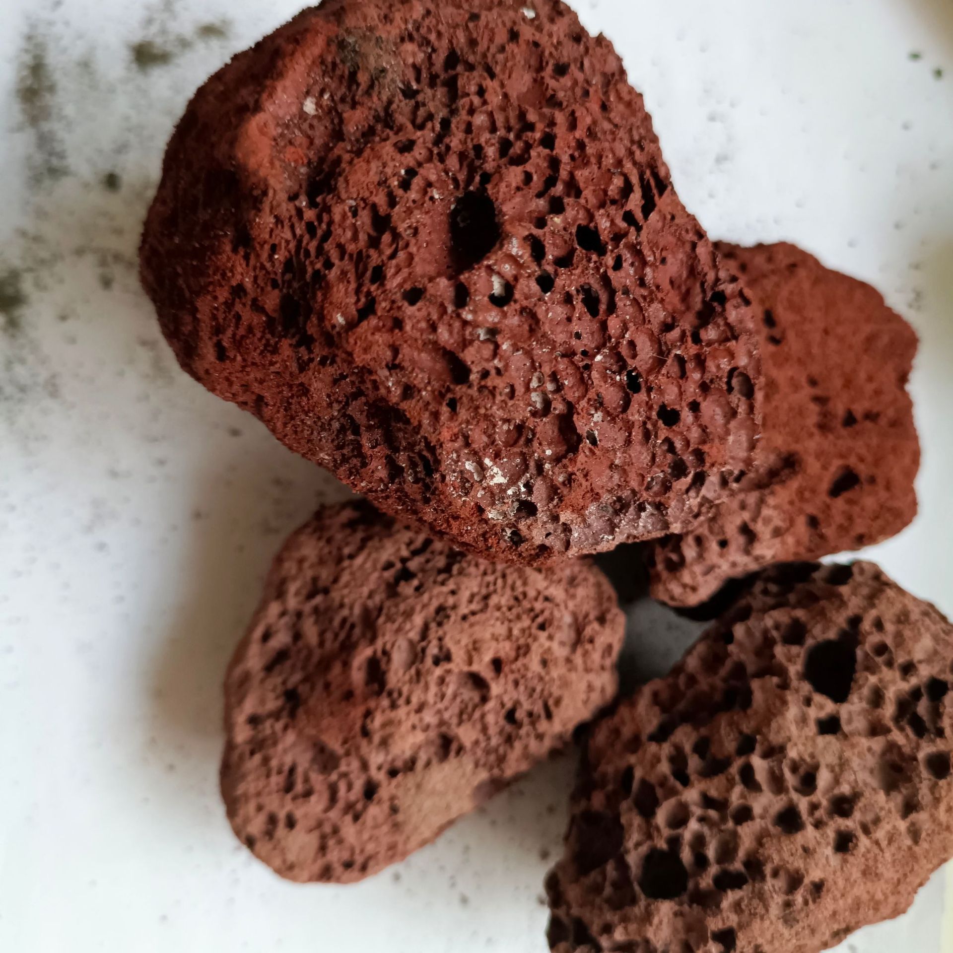 6913cfe35ef48530a340301b76610b