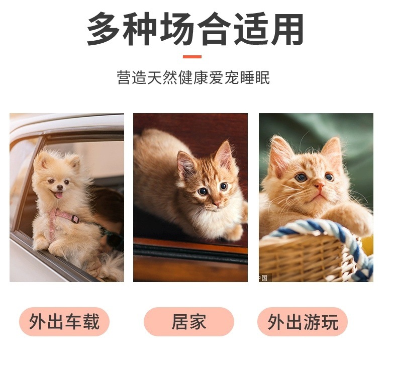 eb3faf7b-430c-49cd-adfe-95ce0ad5a3e7.jpe