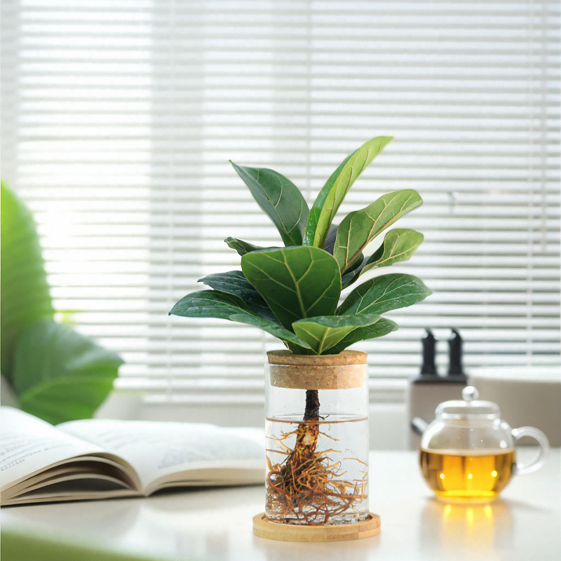 673ffc0c-ee40-4dcd-aeaf-cdae726990fe.jpe