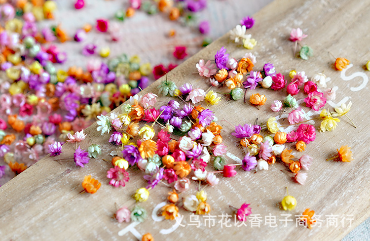 小星花花头—义乌花以香