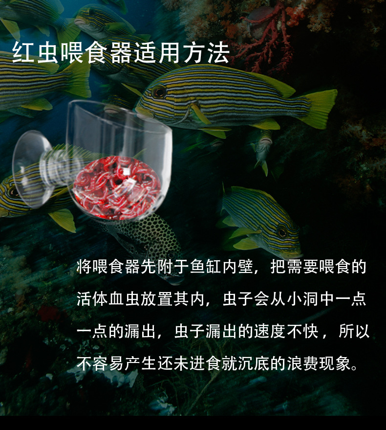 红虫详情_10.jpg