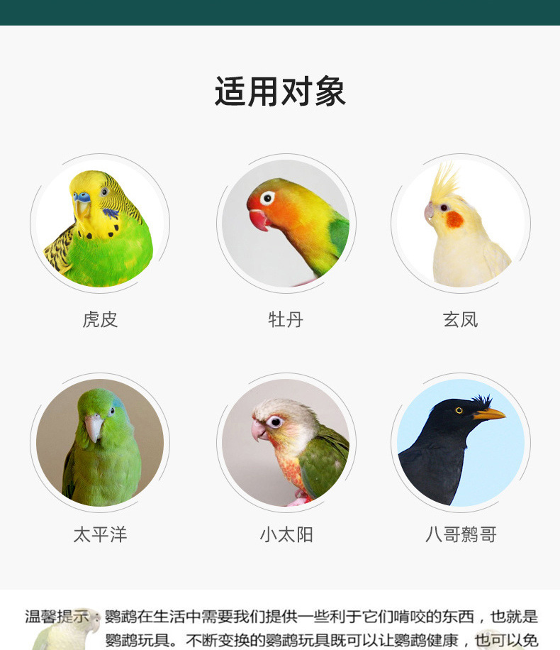 f7f3a650-a58c-48e5-99b4-77153c737f48.jpe