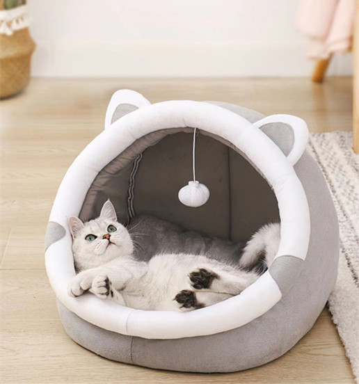 微信图片_20230510095235_副本