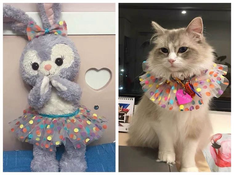 QQ图片20220425161256