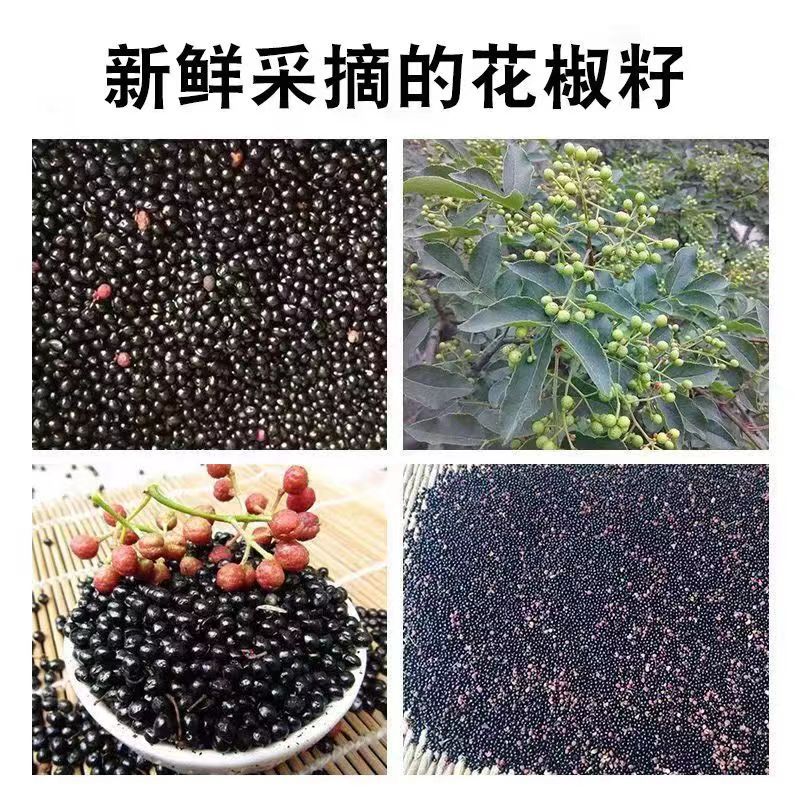 微信图片_20240627220456