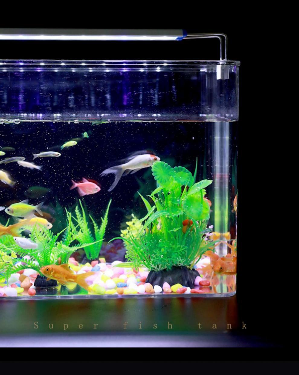 2a9c10cc-41a2-4b3b-96de-c854e62cda95.jpe