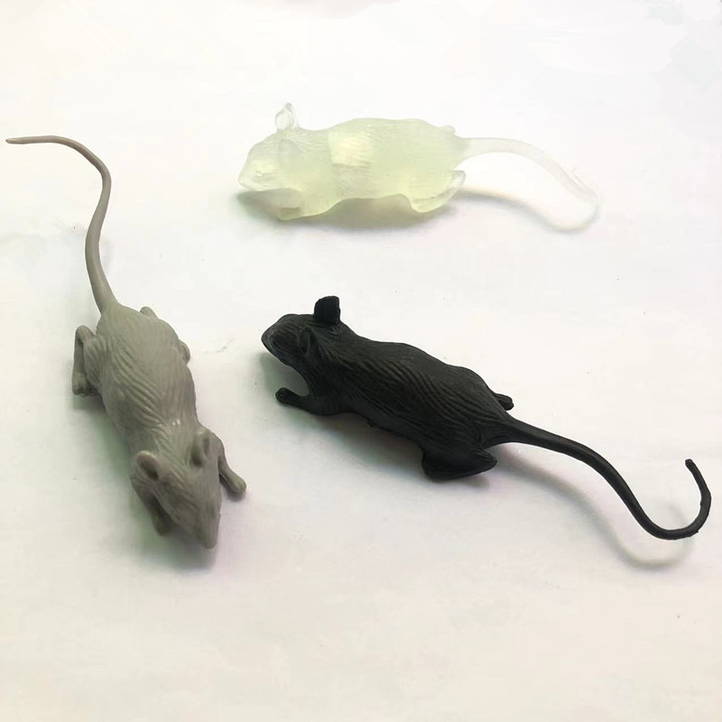 fbfd8fb8ea2f80d466749223c21798