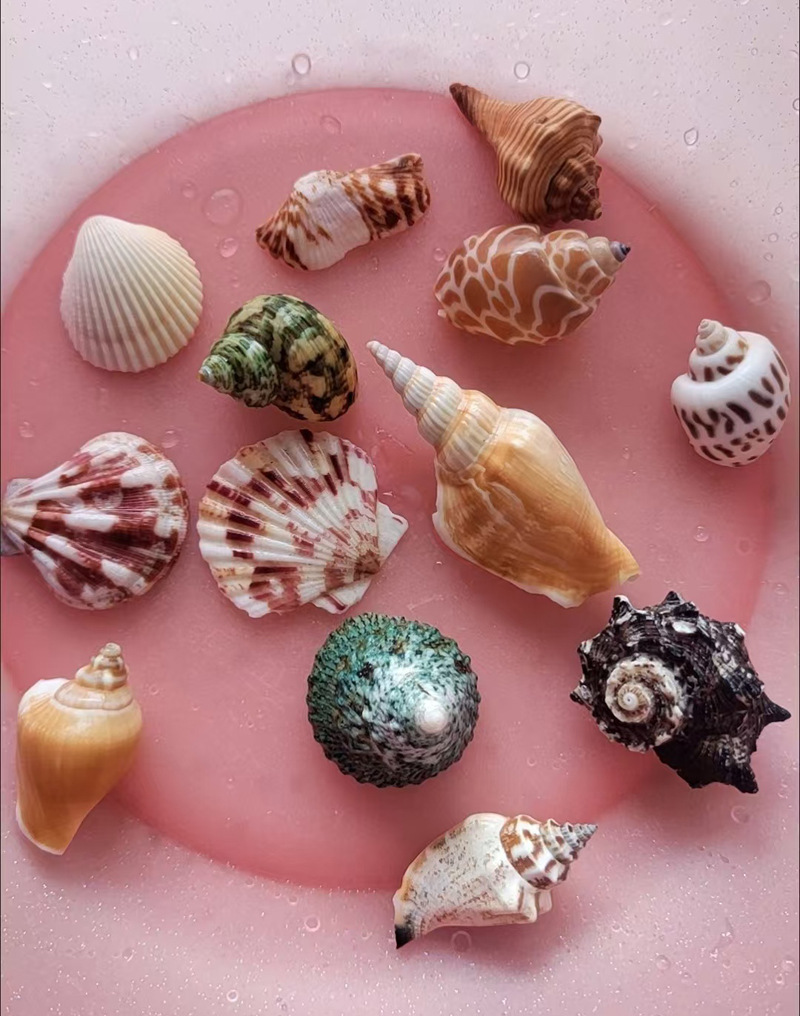 6个不重复详情3