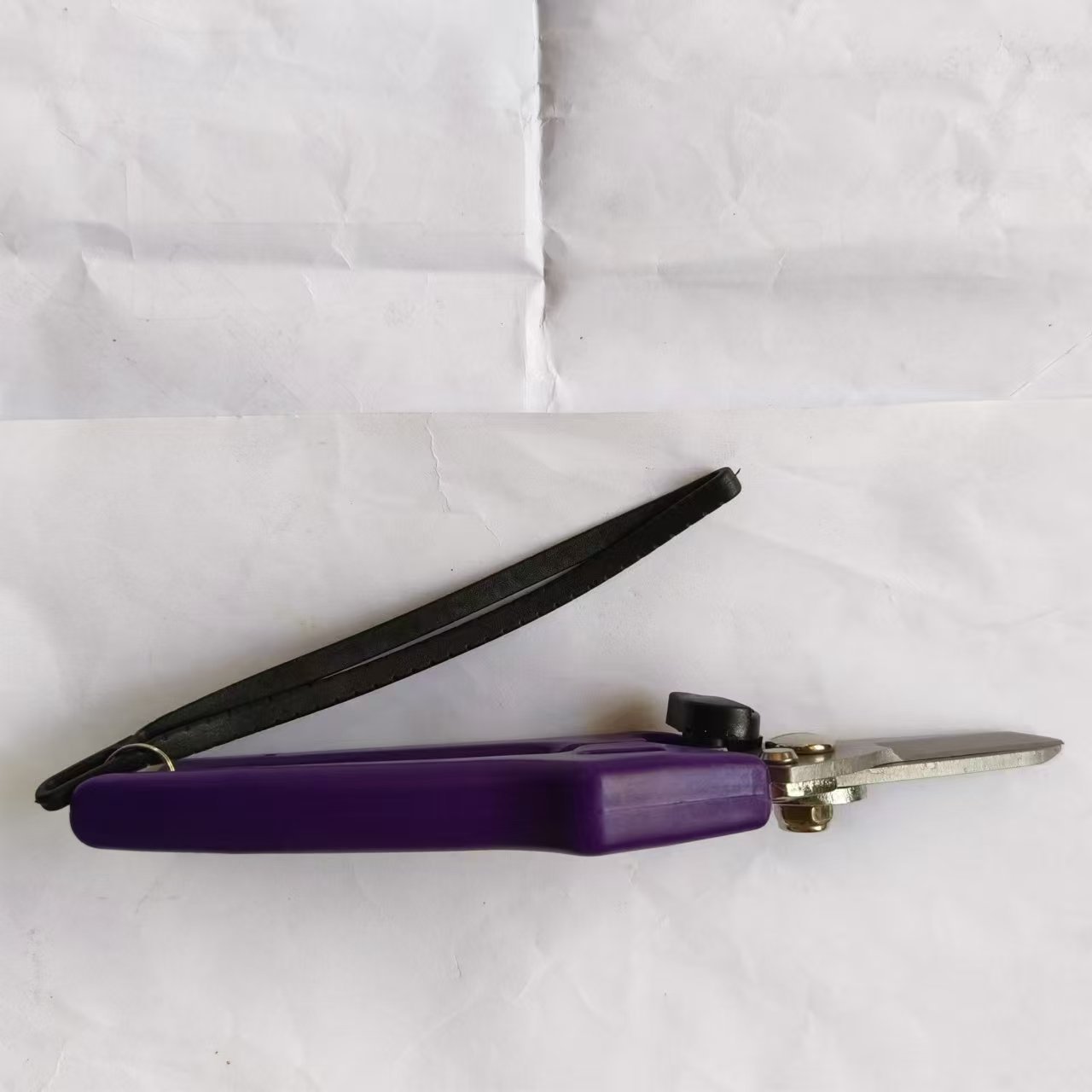 微信图片_20240809152629