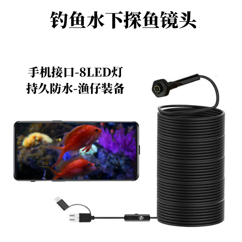 钓鱼水下镜头