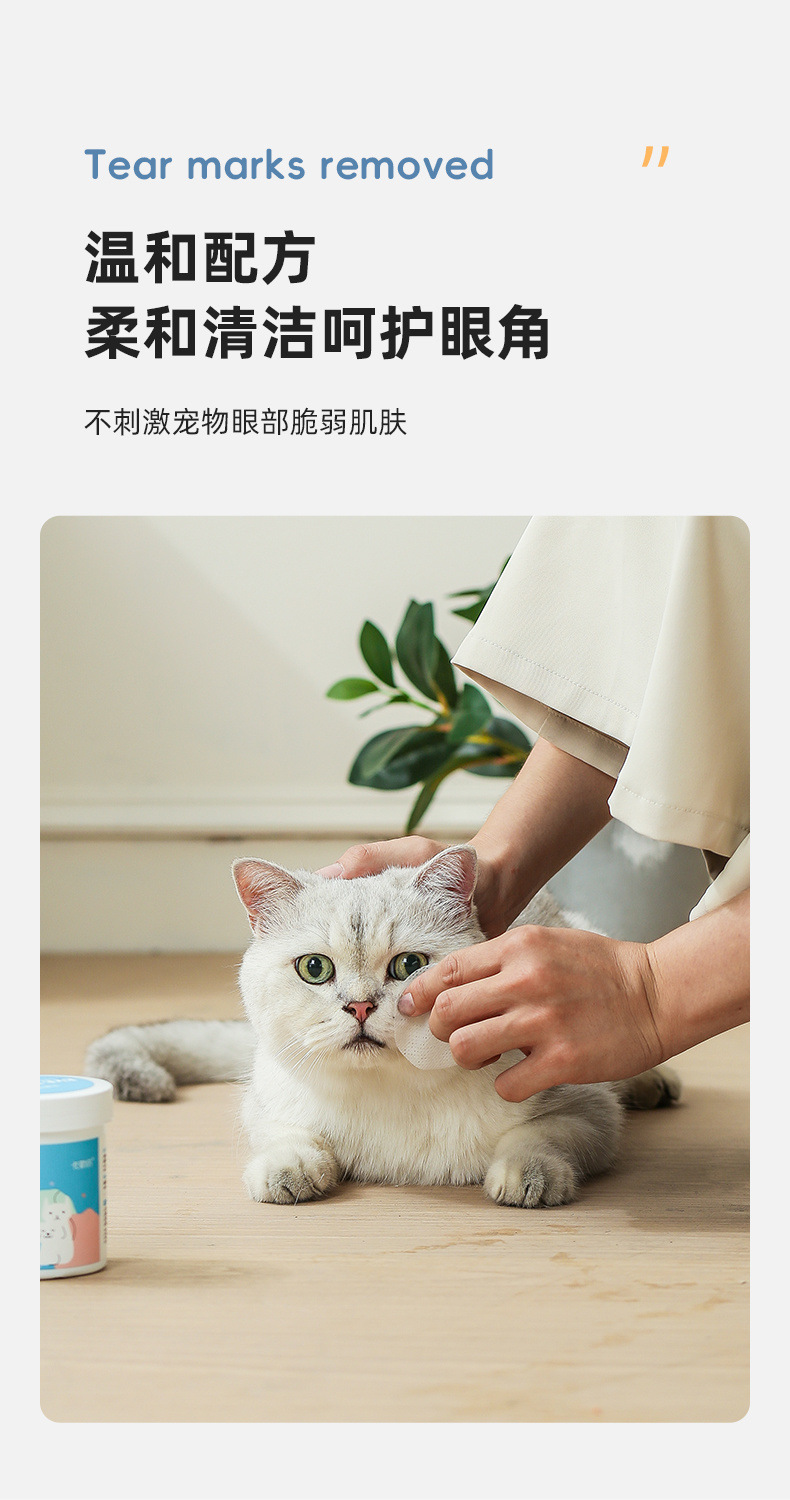 0381c5cf-cde1-46ef-ab55-ca5f490ff2a4.jpe