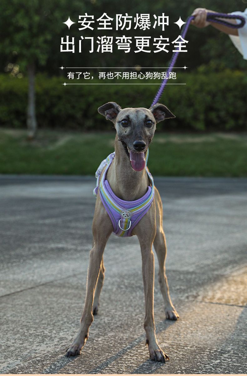 bb501f9d-c275-4f10-a773-daf39b2e178b.jpe