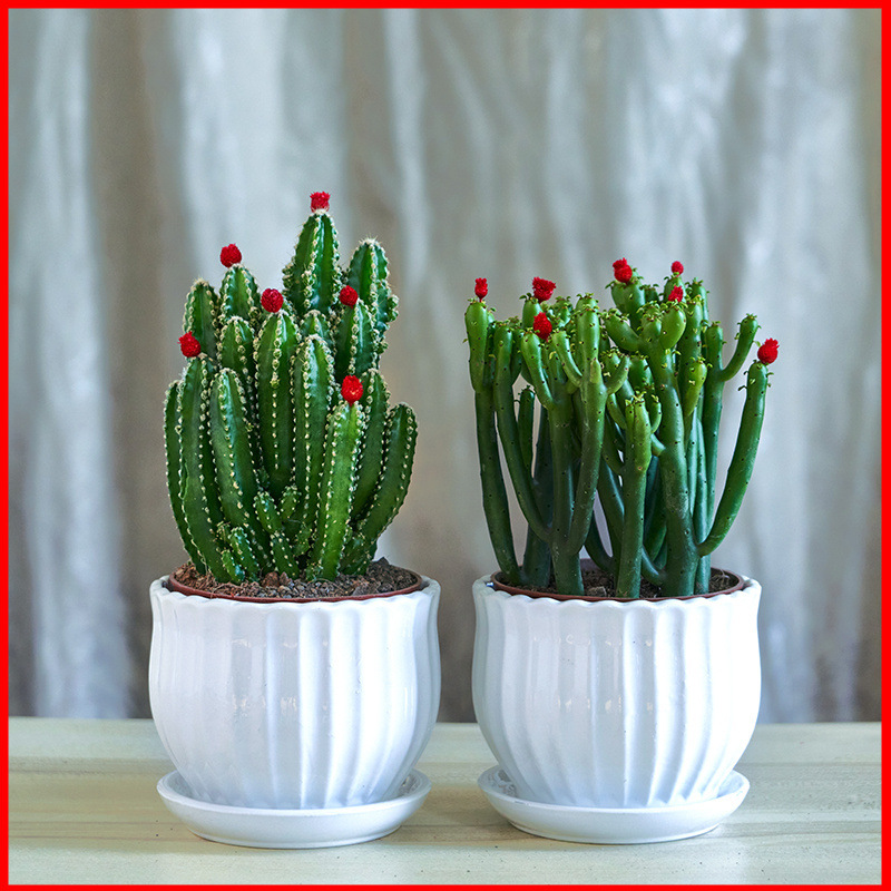 9a24742b-b4f9-4218-98f9-2e7a755be451.jpe