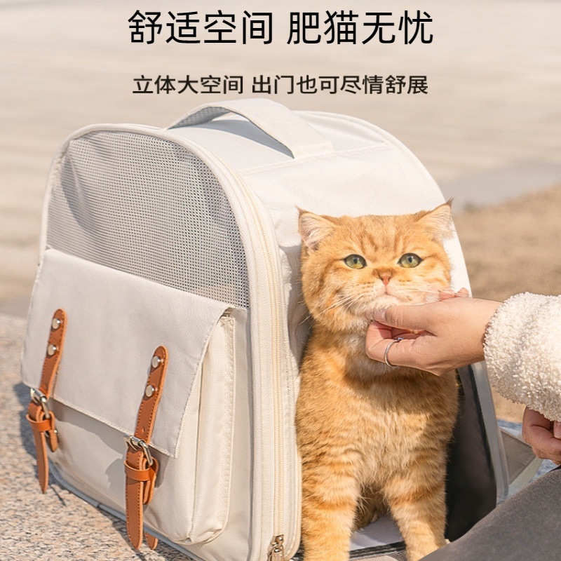 ac54f138-e16d-47bc-8014-6b6a5db2868f.jpe