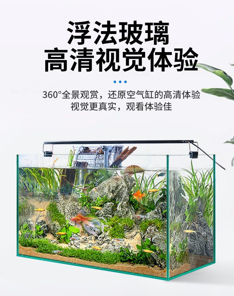 32fbdf16-dd38-4e04-b5dc-763ba3e3959b.jpe