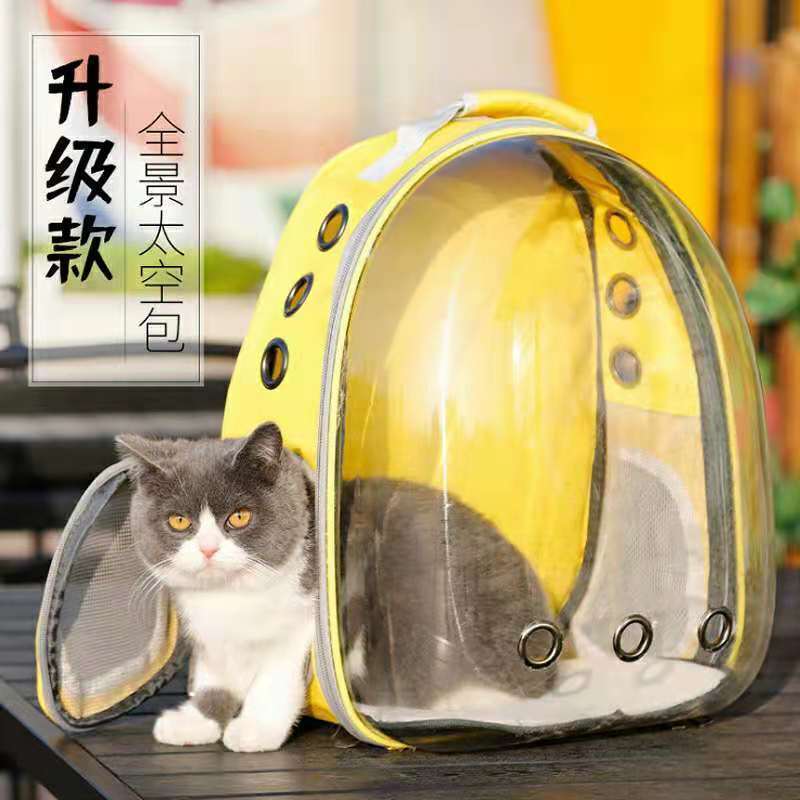 36bf6164-35d6-495e-af5f-0f7715e73ad9.jpe