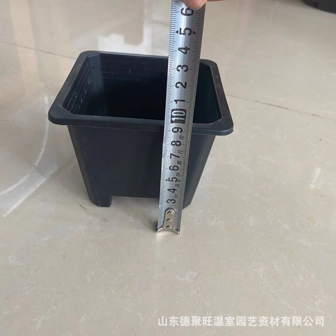 43e41ce99ad3d66c3786e946917fd3