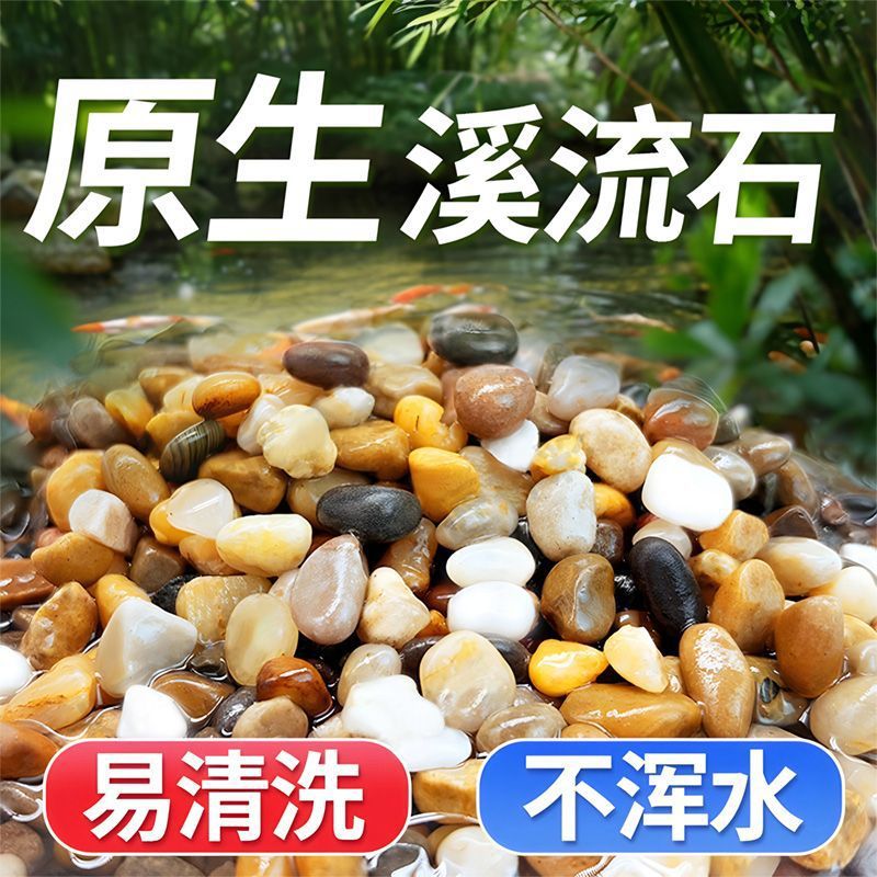 2e5decfa-ddcc-4b8c-a169-f37acd1fa408.jpe