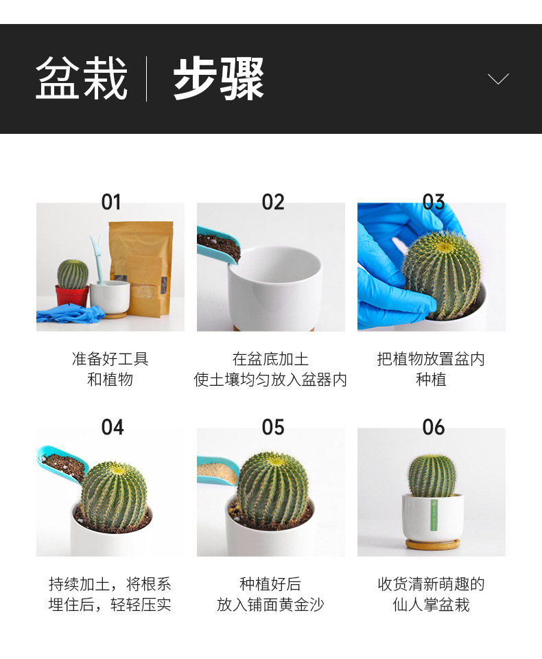 c964be9d82d089dac54e9a01bcc529cc.jpeg